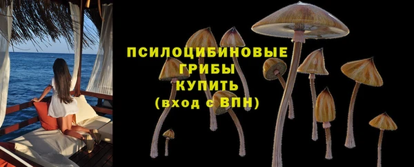 PSILOCYBIN Богородицк